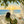 Seaside Morning Reading Wall Art artwork view | OILDECO