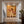 Golden Palm Surfer Figurative Wall Art styled interior scene 5 | OILDECO