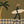 Olive Palm Skateboard Surfer Wall Art artwork view | OILDECO
