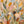 Pastel Wildflower Garden Textured Wall Art artwork view | OILDECO