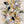 Meadow Bloom Abstract Floral Wall Art artwork view | OILDECO