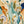 Amber Garden Botanical Abstract Wall Art artwork view | OILDECO