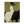 Lady in White on Black Horse Wall Art | OILDECO