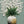 Sage Bloom Botanical Relief Wall Art artwork view | OILDECO