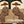 Palm Shade Conversation Folk Wall Art artwork view | OILDECO
