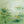 Spring Meadow Green Floral Wall Art artwork view | OILDECO