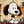 Black-Eared Cartoon Puppy on a Colorful Ground Wall Art artwork view | OILDECO