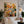 Pastel Garden Marks and Colorful Layers Wall Art styled interior scene 2 | OILDECO