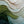 Layered Green and Ivory Waves Abstract Wall Art artwork view | OILDECO