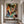 Mint Streams and Warm Color Gestures Abstract Wall Art styled interior scene 3 | OILDECO