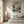 Sage Leaf Abstract Wall Art styled in a modern living room | Oildeco
