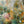 Wild Garden in Sage and Marigold Wall Art artwork view | OILDECO