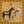 Cowgirl Cocktail and Horse under Golden Stars Wall Art artwork view | OILDECO
