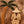 Striped Figure Beneath a Palm on Warm Brown Wall Art artwork view | OILDECO