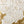 Sculpted White Roses over Golden Textures Wall Art artwork view | OILDECO