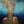 Underwater Swimmer beneath Golden Ripples Wall Art artwork view | OILDECO