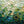Emerald Mosaic with a Pale Green Glow Wall Art artwork view | OILDECO