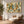 Ochre and Teal Botanical Daydream Wall Art styled interior scene 3 | OILDECO
