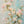 Original artwork view of Aqua Blossom Floral Wall Art | Oildeco