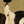 Ivory Dress Equestrian Portrait Wall Art artwork view | OILDECO