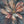 Silver Petal Floral Wall Art