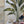 Tropical Vessel Still Life Wall Art