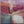 Coral Passage Abstract Wall Art