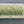 Olive Canopy Textured Wall Art