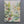 Meadow Veil Floral Wall Art hand-painted texture video | OILDECO